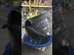 صمام البطة المزدوج